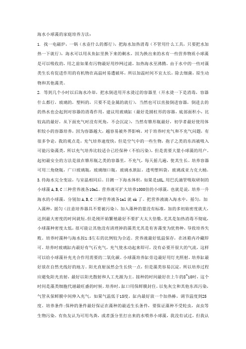 家庭培养小球藻轮虫的方法