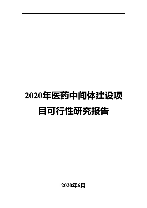 2020年医药中间体建设项目可行性研究报告