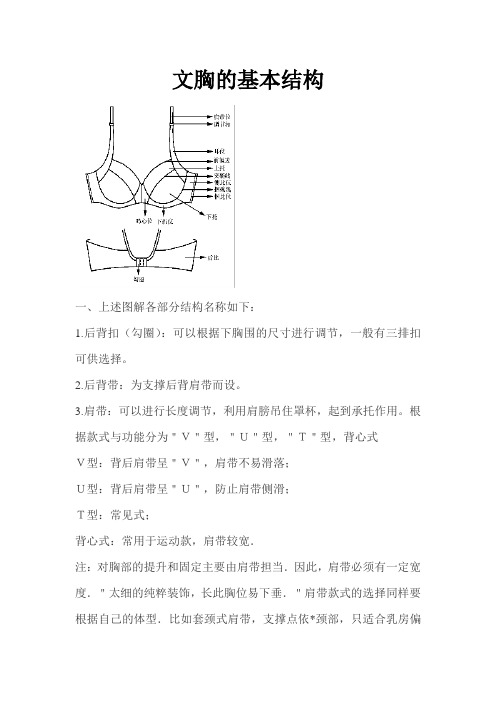 文胸的结构