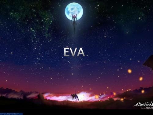 教你看懂eva