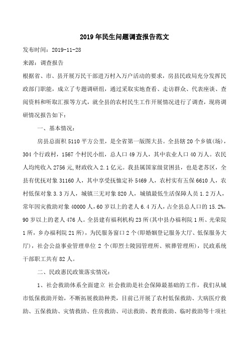 2019年民生问题调查报告范文