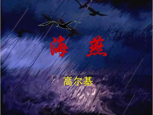 海燕第二课时课件