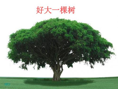 【初中生物】蒸腾作用PPT课件5
