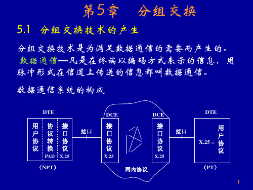 交换第5章(分组交换)精品PPT课件