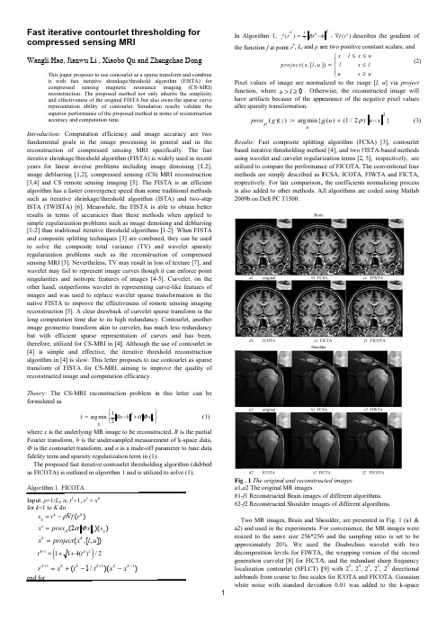 2013_EL_FastIST Contourlet_CSMRI