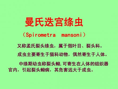 033 曼氏绦虫