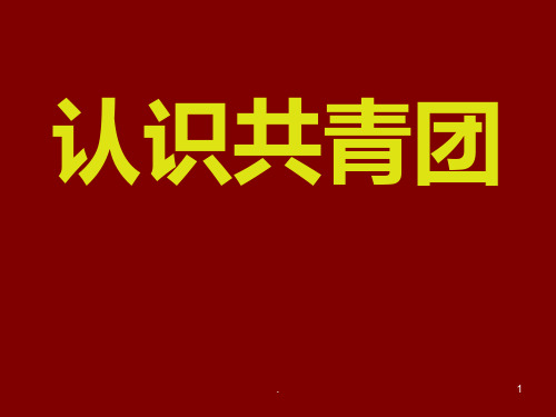 认识共青团PPT课件