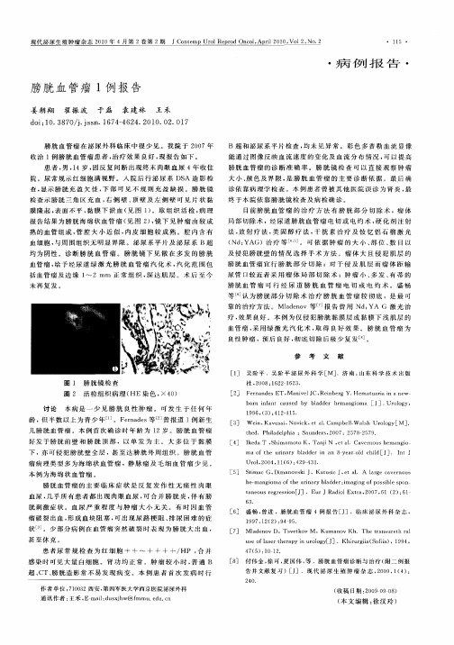 膀胱血管瘤1例报告