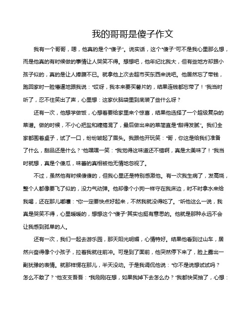 我的哥哥是傻子作文