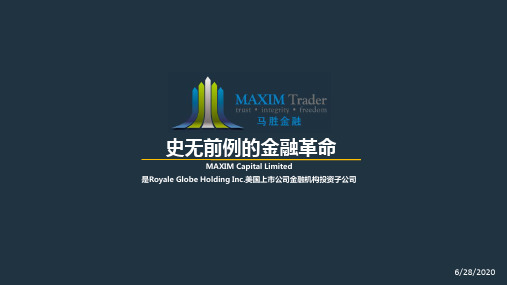 马胜金融集团简介