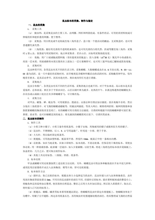 昆虫标本的采集、制作