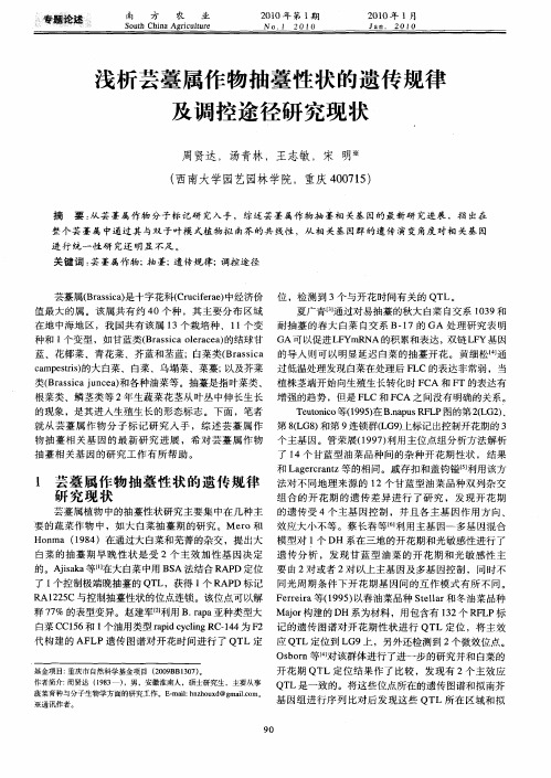 浅析芸薹属作物抽薹性状的遗传规律及调控途径研究现状