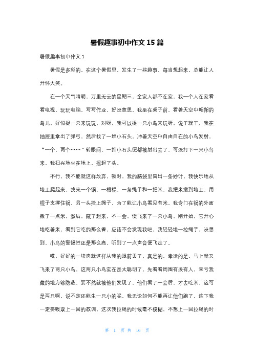 暑假趣事初中作文15篇