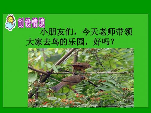 《放小鸟》课件(苏教版一年级语文下册课件)