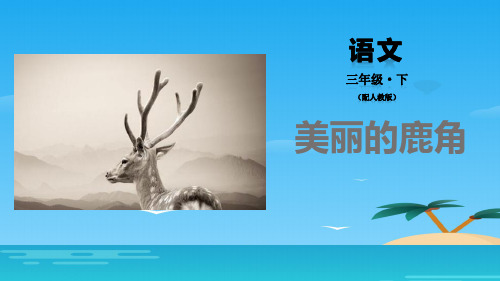 《美丽的鹿角》PPT课件[优秀课件资料]