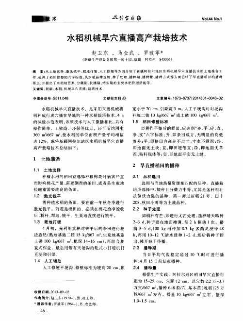 水稻机械旱穴直播高产栽培技术