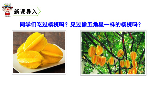 二年级下册语文课件课文(四)画杨桃人教(部编)版
