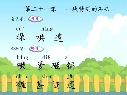 21 一块特别的石头_生字词学习