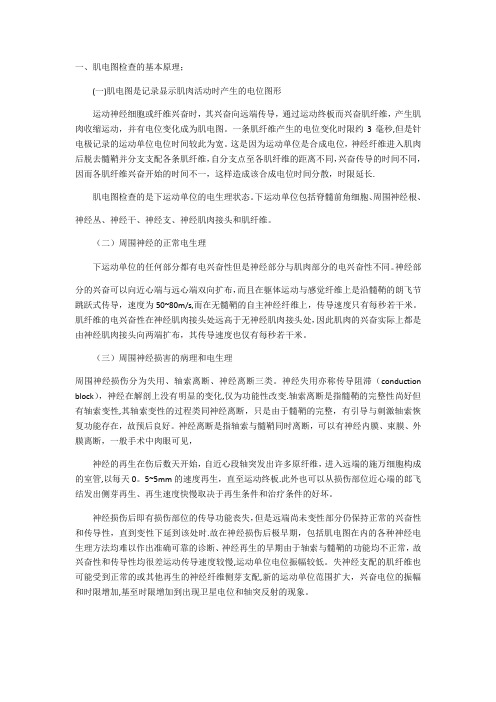 肌电图相关知识