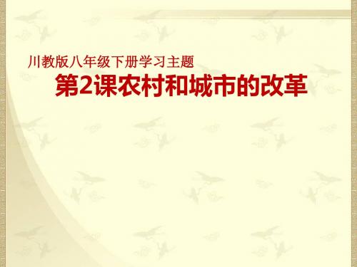 《农村和城市的改革》PPT实用课件9 川教版