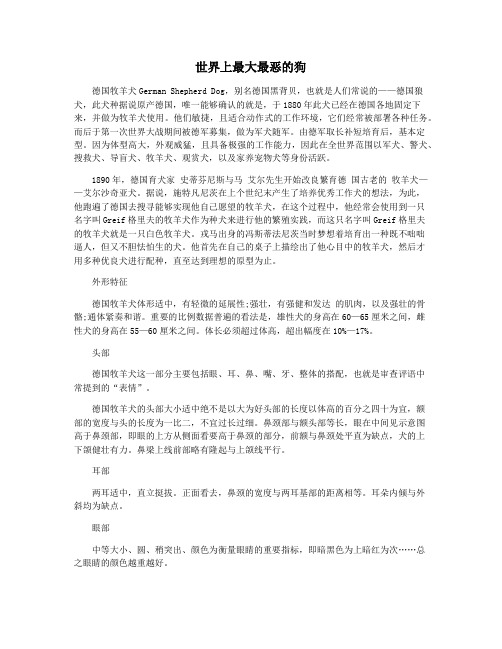 世界上最大最恶的狗