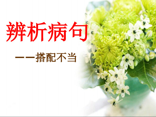 《辨析并修改病句(搭配不当)》课件