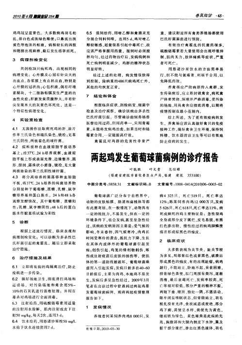 两起鸡发生葡萄球菌病例的诊疗报告