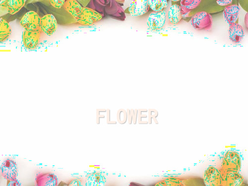 鲜花PPT课件