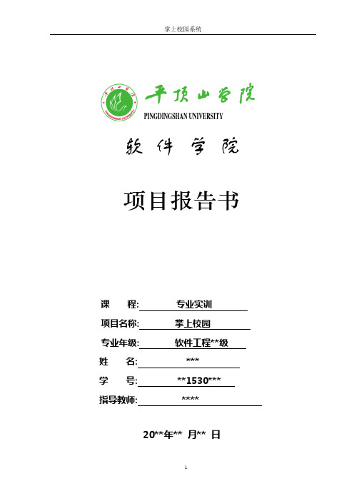 C实训项目报告书-模板