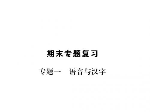 九年级语文上册期末专题复习一语音与汉字习题课件新人教版