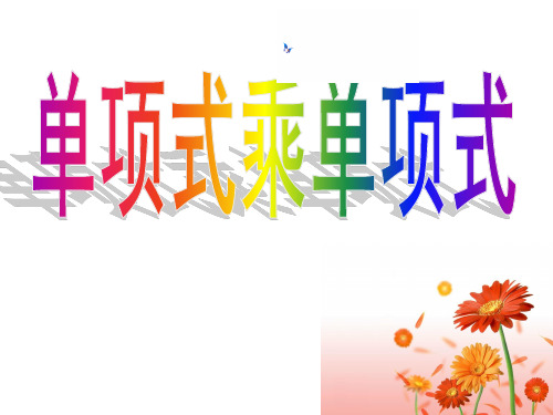 单项式乘以单项式课件PPT