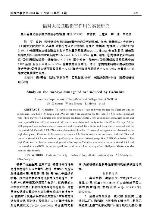 镉对大鼠胚胎损害作用的实验研究