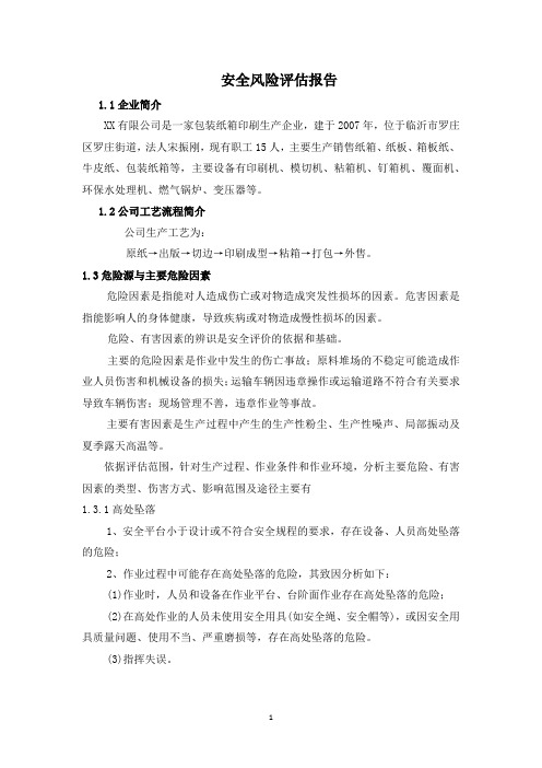 安全风险评估报告