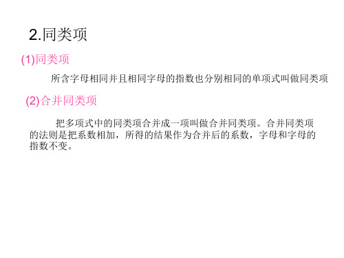 初三复习 2(PPT)5-3.整式[下学期]  北师大版
