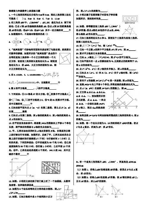 鲁教版七年级数学上典型练习题