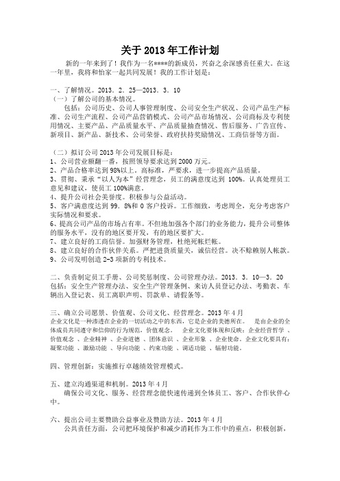 2013年度工作计划Word 文档