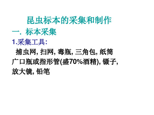 4[1].1、昆虫分类学概述(2)