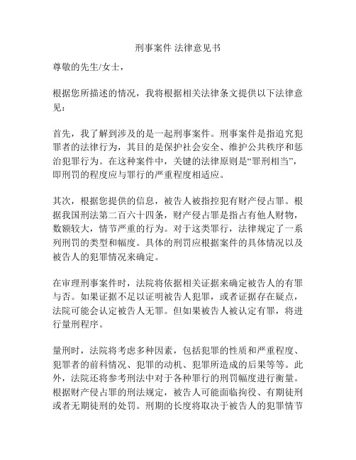 刑事案件 法律意见书