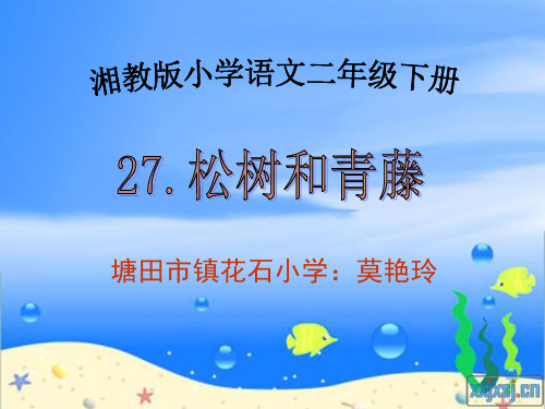 《松树和青藤课件》小学语文湘教版二年级下册3510.ppt