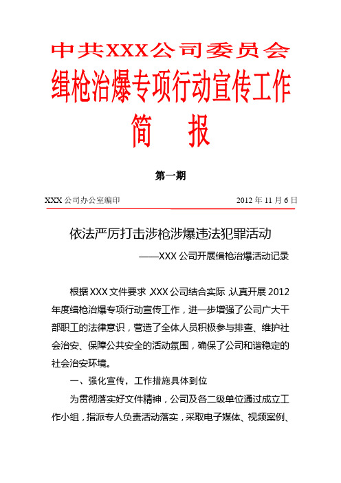 缉枪治爆简报模版