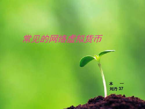 《常见的虚拟货币》PPT课件