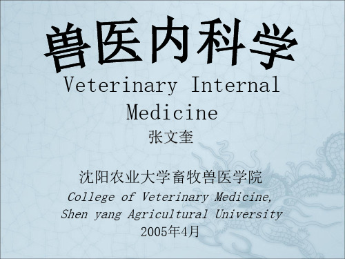 内科-消化系统反刍兽(1)