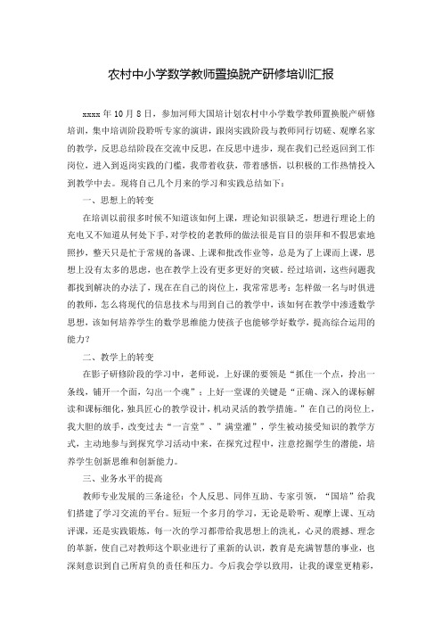 农村中小学数学教师置换脱产研修培训汇报