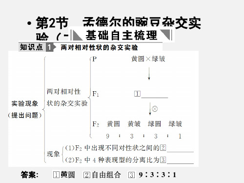 高考生物 一轮复习：必修2 第1章 遗传因子的发现 第2节 孟德尔的豌豆杂交实验(二) 新人教必修3