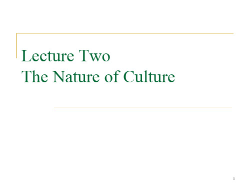 lecture 2--nature of culture (1)