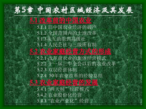 区域经济学(硕士课程)第5章 中国农村区域经济及其发展