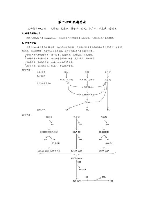 代谢总论