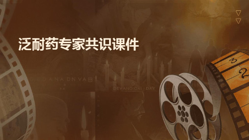 泛耐药专家共识课件