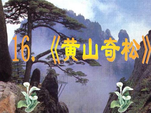 16.黄山奇松.ppt