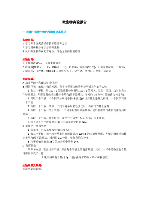 微生物实验报告